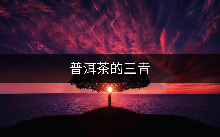普洱茶的三青