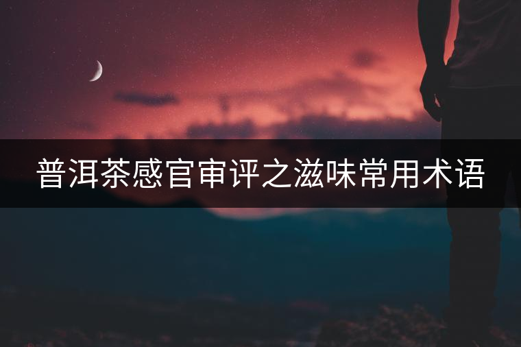 普洱茶感官審評之滋味常用術語