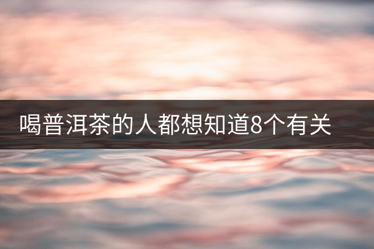 喝普洱茶的人都想知道8個有關普洱茶的問題 喝普洱茶的人都想知道8個有關普洱茶的問題