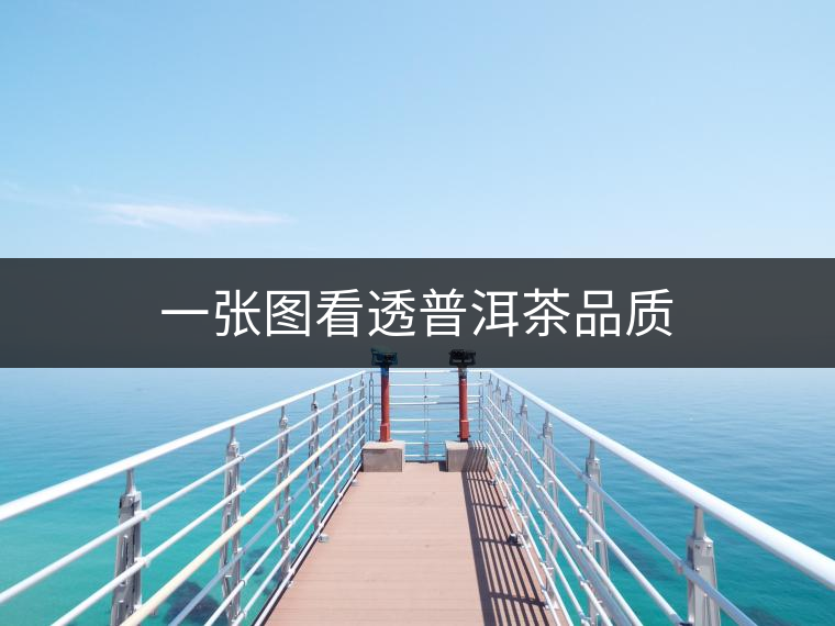 一張圖看透普洱茶品質