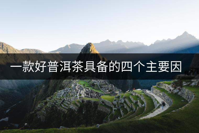 一款好普洱茶具備的四個主要因素 一款好普洱茶具備的四個主要因素