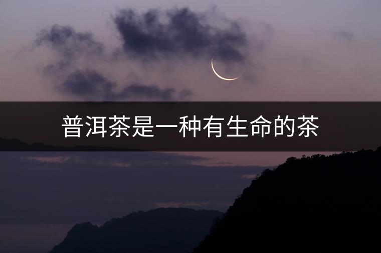 普洱茶是一種有生命的茶 普洱茶是一種有生命的茶