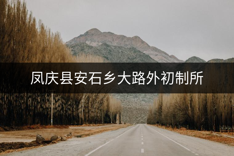 鳳慶縣安石鄉大路外初制所