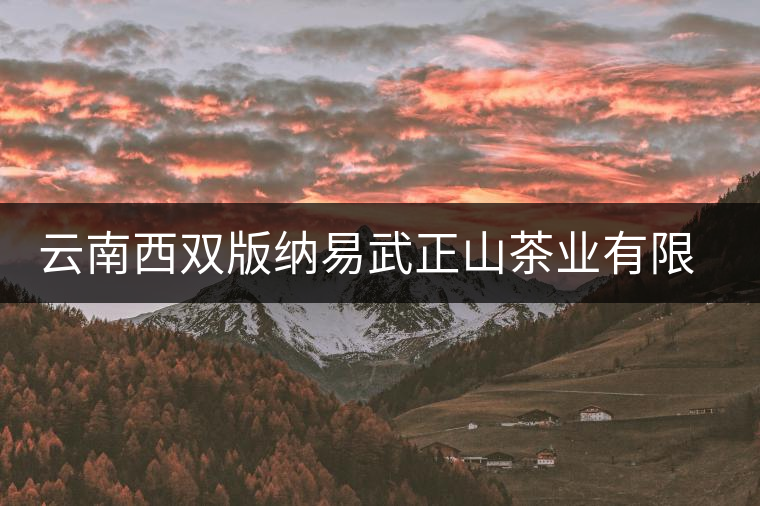 云南西雙版納易武正山茶業有限公司 云南西雙版納易武正山茶業有限公司