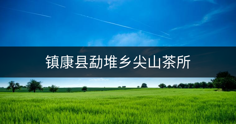 鎮康縣勐堆鄉尖山茶所