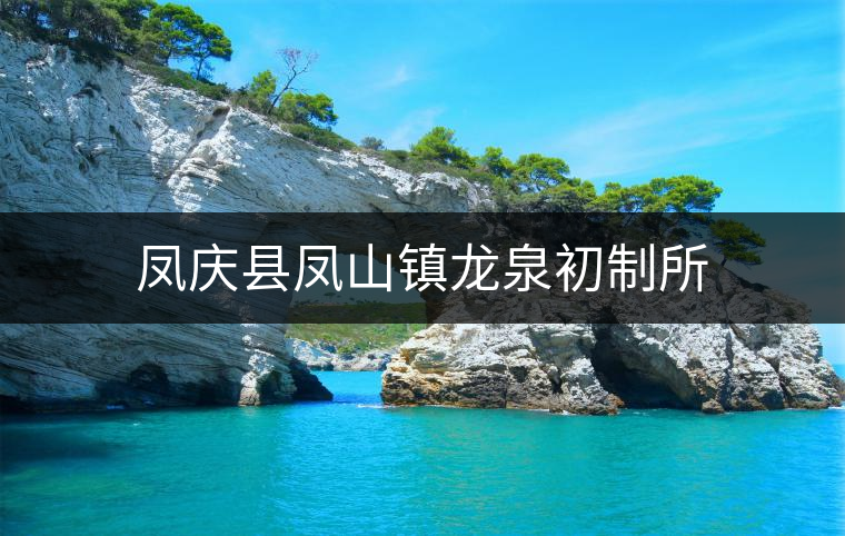 鳳慶縣鳳山鎮龍泉初制所 鳳慶縣鳳山鎮龍泉初制所