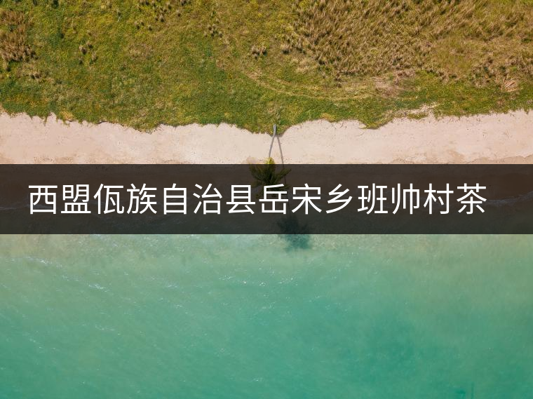 西盟佤族自治縣岳宋鄉班帥村茶廠