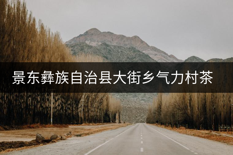 景東彝族自治縣大街鄉氣力村茶廠