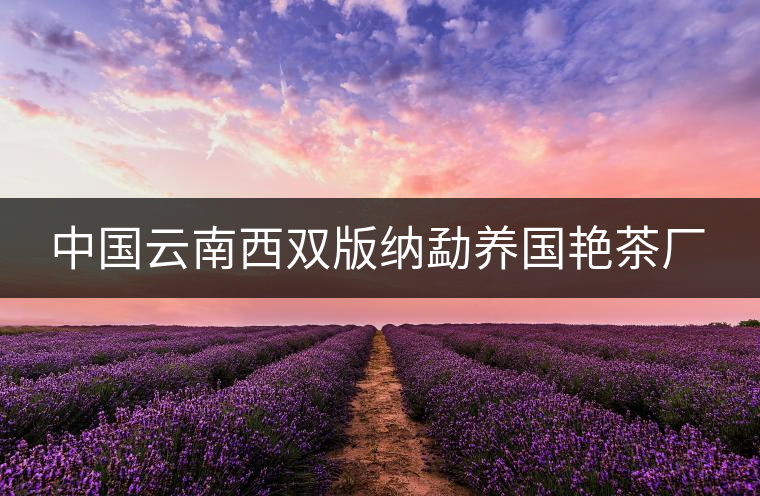 中國云南西雙版納勐養國艷茶廠 中國云南西雙版納勐養國艷茶廠