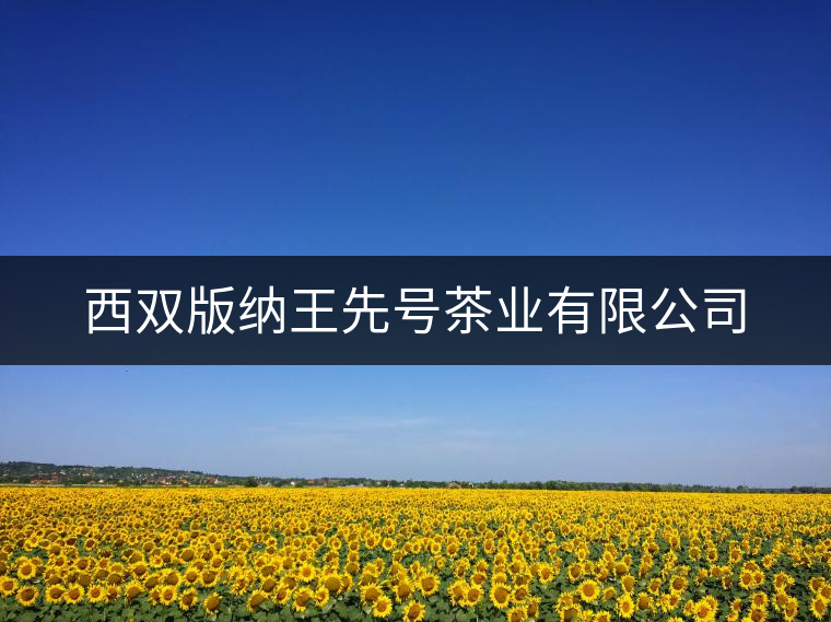 西雙版納王先號茶業有限公司