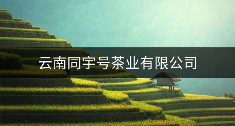 云南同宇號茶業有限公司 云南同宇號茶業有限公司