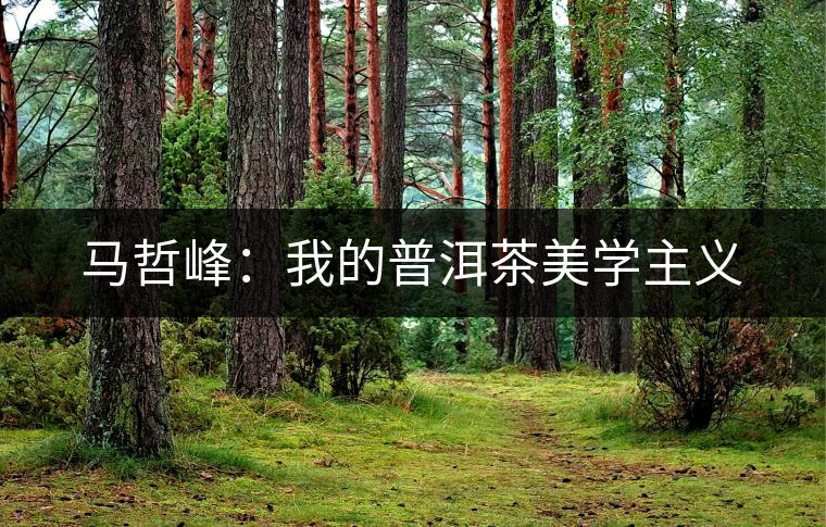 馬哲峰:我的普洱茶美學主義 馬哲峰:我的普洱茶美學主義