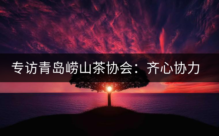 專訪青島嶗山茶協會:齊心協力共謀茶壇盛事 專訪青島嶗山茶協會:齊心協力共謀茶壇盛事