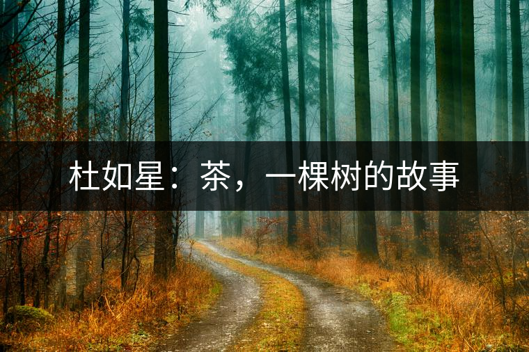 杜如星：茶，一棵樹的故事