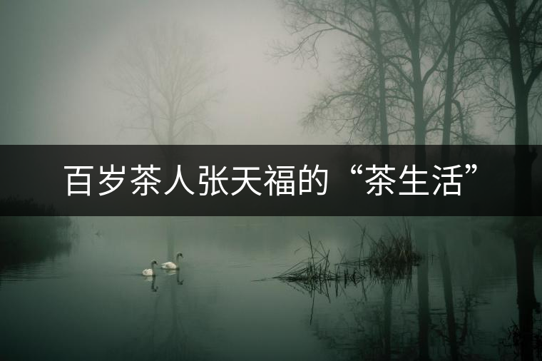 百歲茶人張天福的“茶生活”