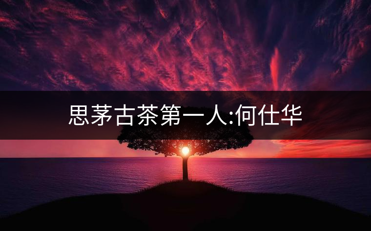 思茅古茶第一人:何仕華 思茅古茶第一人:何仕華