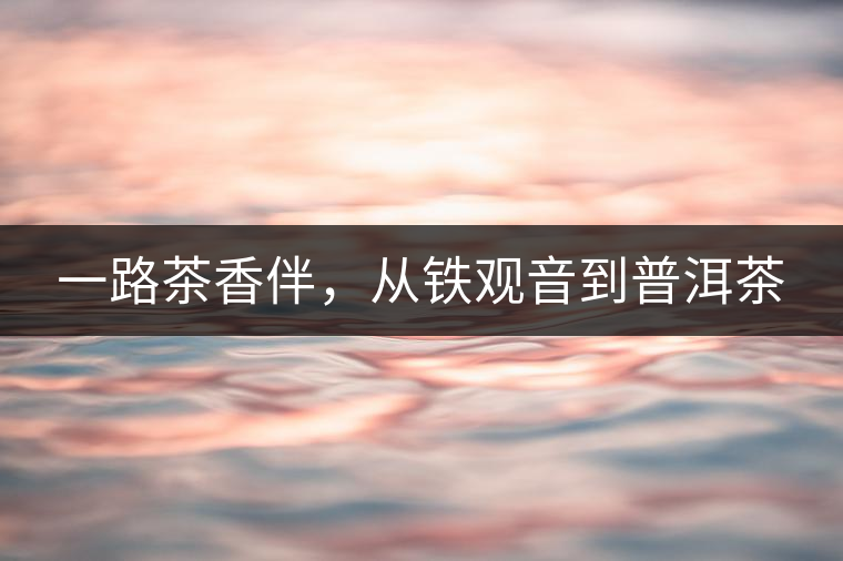 一路茶香伴,從鐵觀音到普洱茶 一路茶香伴,從鐵觀音到普洱茶