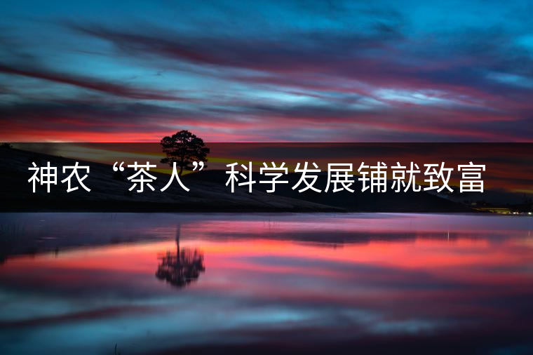 神農“茶人”科學發展鋪就致富路 神農“茶人”科學發展鋪就致富路