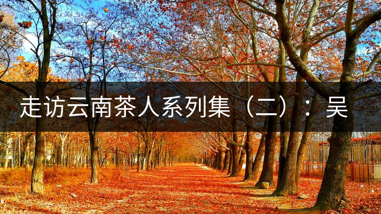 走訪云南茶人系列集（二）：吳覺農的云南弟子——彭承鑑