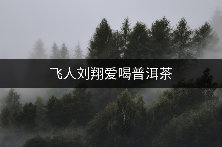 飛人劉翔愛喝普洱茶 飛人劉翔愛喝普洱茶