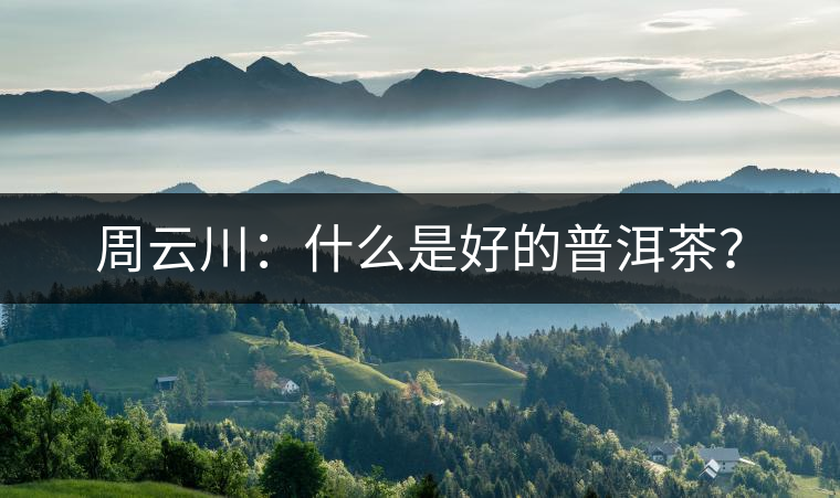 周云川:什么是好的普洱茶? 周云川:什么是好的普洱茶?