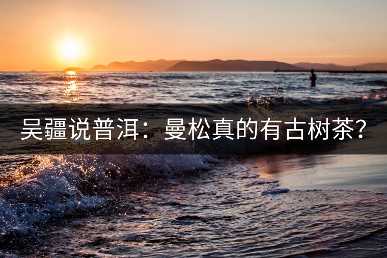 吳疆說普洱:曼松真的有古樹茶? 吳疆說普洱:曼松真的有古樹茶?