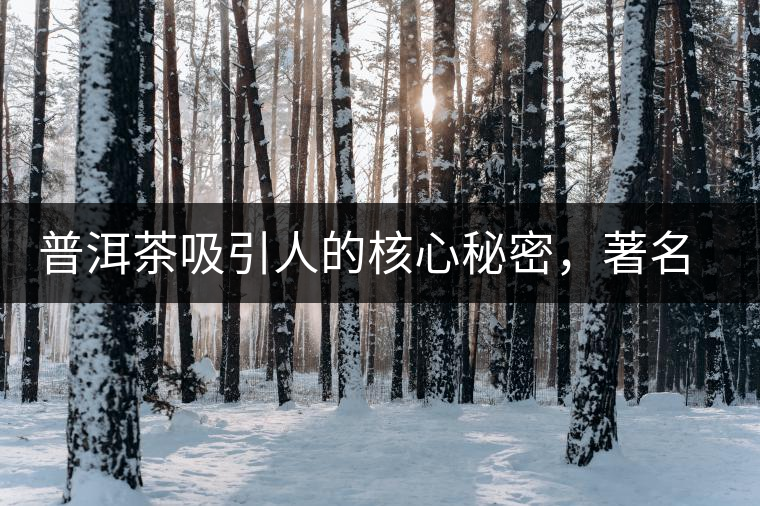 普洱茶吸引人的核心秘密,著名作家余秋雨先生三句話就告訴你 普洱茶吸引人的核心秘密,著名作家余秋雨先生三句話就告訴你