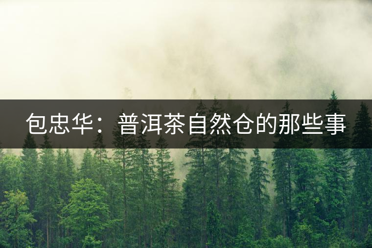 包忠華:普洱茶自然倉的那些事 包忠華:普洱茶自然倉的那些事