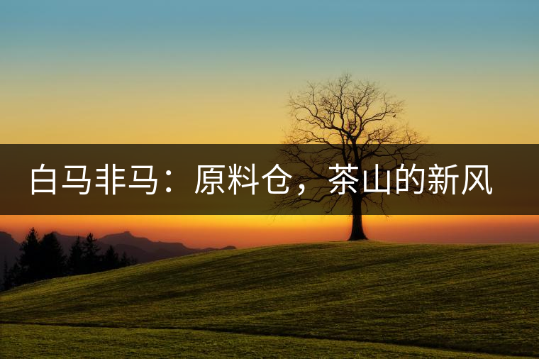 白馬非馬:原料倉,茶山的新風(fēng)景 白馬非馬:原料倉,茶山的新風(fēng)景