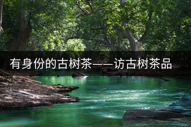 有身份的古樹茶——訪古樹茶品茶人中山市茂名商會創會會長崔大洪 有身份的古樹茶——訪古樹茶品茶人中山市茂名商會創會會長崔大洪