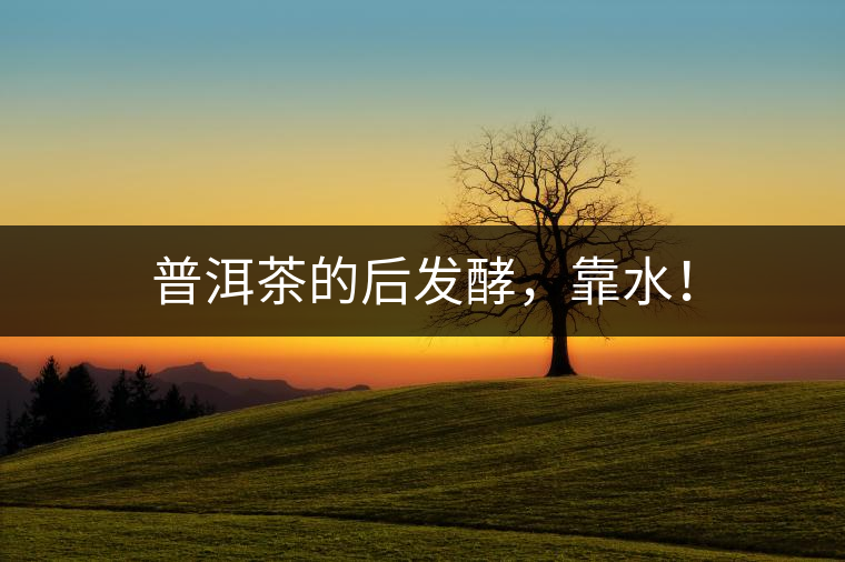 普洱茶的后發(fā)酵,靠水! 普洱茶的后發(fā)酵,靠水!