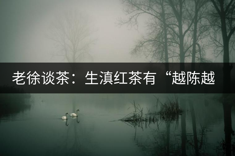 老徐談茶:生滇紅茶有“越陳越香”的特點嗎? 老徐談茶:生滇紅茶有“越陳越香”的特點嗎?