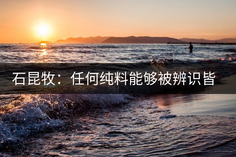 石昆牧:任何純料能夠被辨識(shí)皆因其缺陷 石昆牧:任何純料能夠被辨識(shí)皆因其缺陷