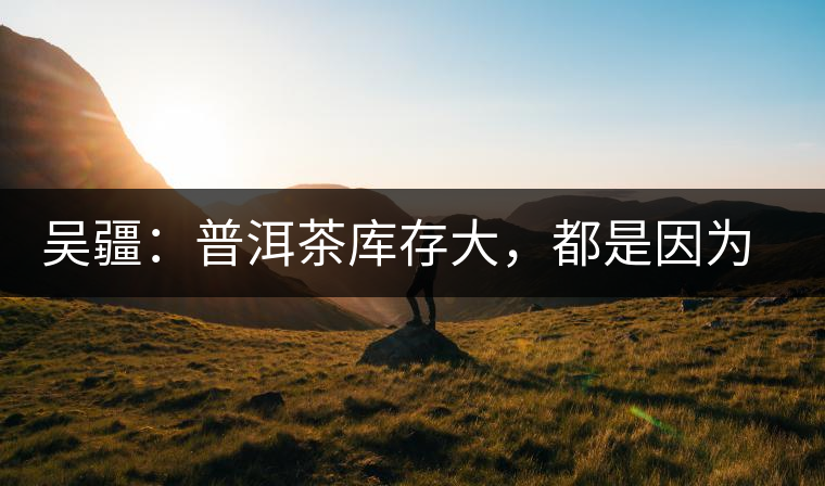 吳疆:普洱茶庫存大,都是因為“越陳越香” 吳疆:普洱茶庫存大,都是因為“越陳越香”