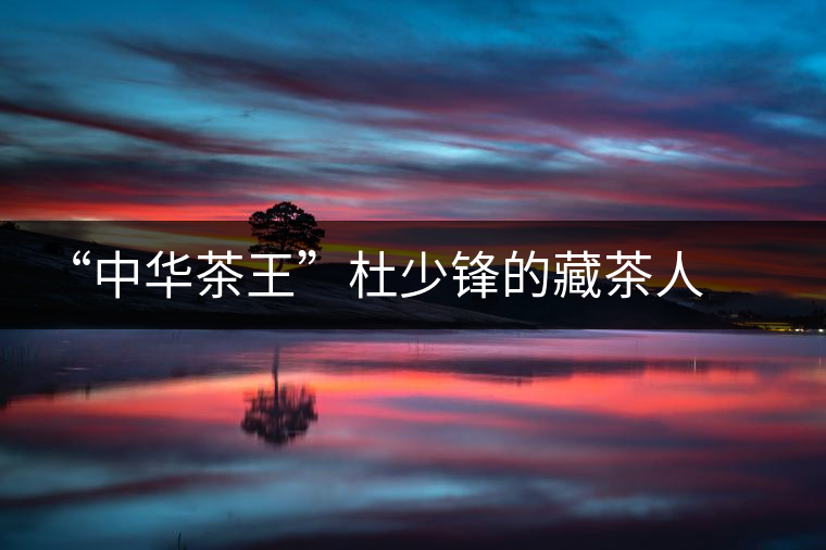 “中華茶王”杜少鋒的藏茶人生 “中華茶王”杜少鋒的藏茶人生