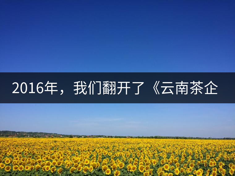 2016年,我們翻開了《云南茶企發(fā)展白皮書》 2016年,我們翻開了《云南茶企發(fā)展白皮書》