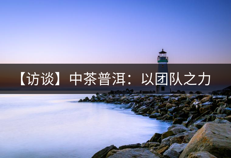 【訪談】中茶普洱：以團隊之力促發展，用品質之心拓市場