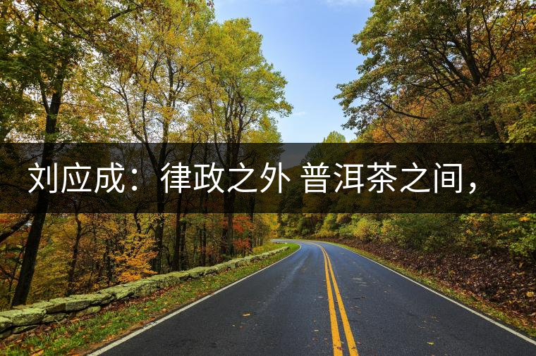 劉應成:律政之外 普洱茶之間,在峨毛茶上的三個首創 劉應成:律政之外 普洱茶之間,在峨毛茶上的三個首創