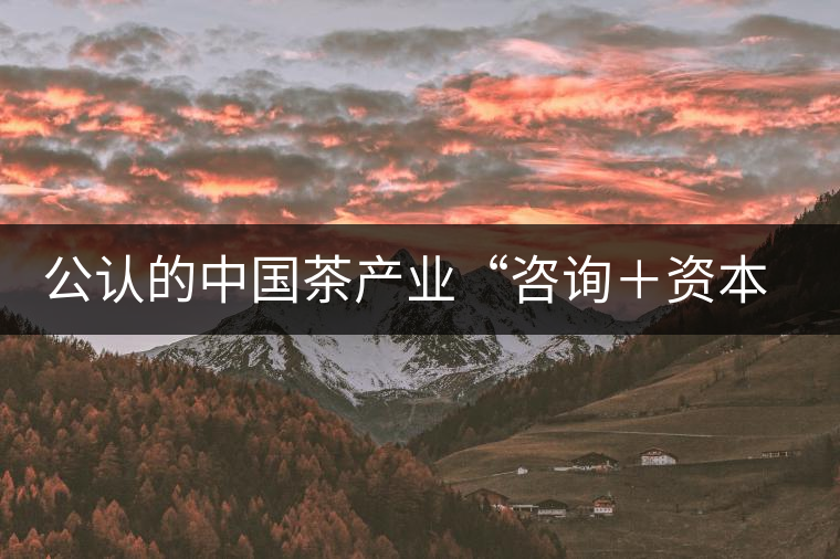 公認(rèn)的中國茶產(chǎn)業(yè)“咨詢+資本”第一人:蔣同 公認(rèn)的中國茶產(chǎn)業(yè)“咨詢+資本”第一人:蔣同