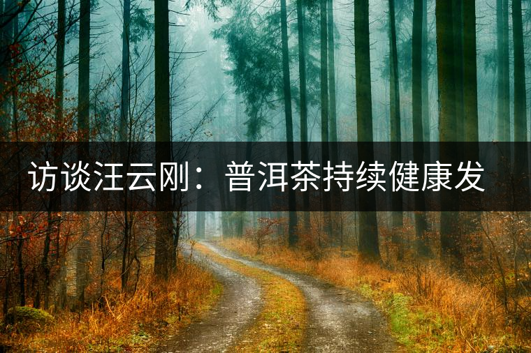 訪談汪云剛:普洱茶持續健康發展之路 訪談汪云剛:普洱茶持續健康發展之路