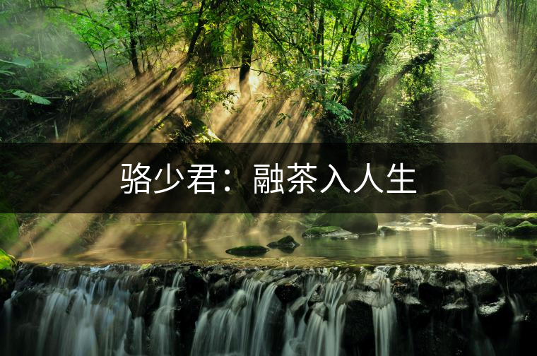 駱少君:融茶入人生 駱少君:融茶入人生