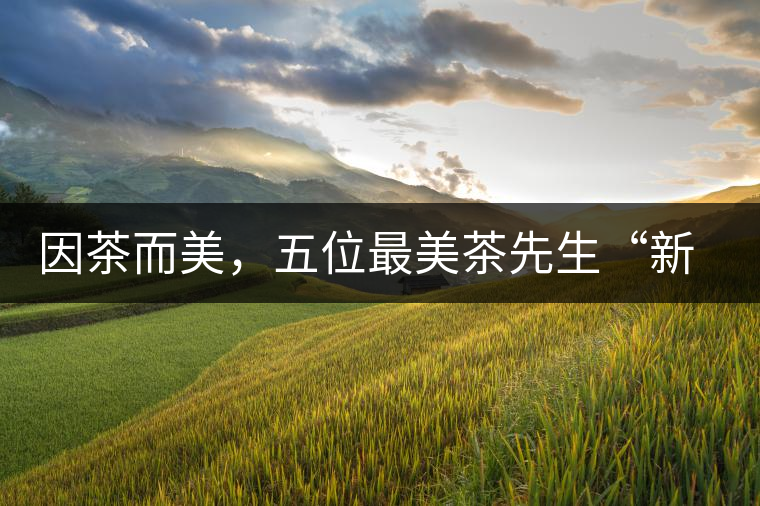因茶而美,五位最美茶先生“新鮮出爐”啦 因茶而美,五位最美茶先生“新鮮出爐”啦