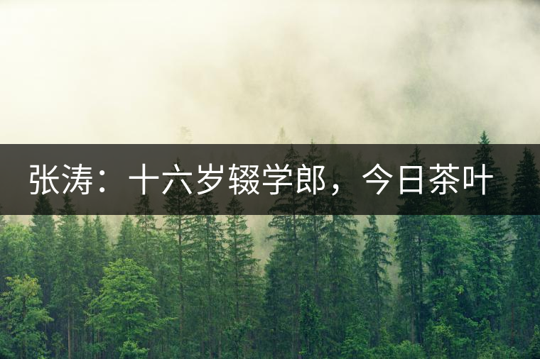 張濤：十六歲輟學郎，今日茶葉中堅