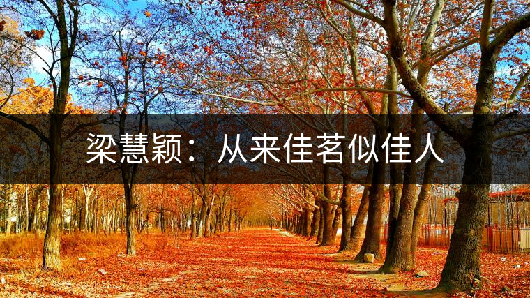 梁慧穎:從來(lái)佳茗似佳人 梁慧穎:從來(lái)佳茗似佳人