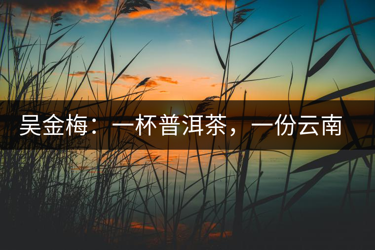 吳金梅:一杯普洱茶,一份云南情 吳金梅:一杯普洱茶,一份云南情