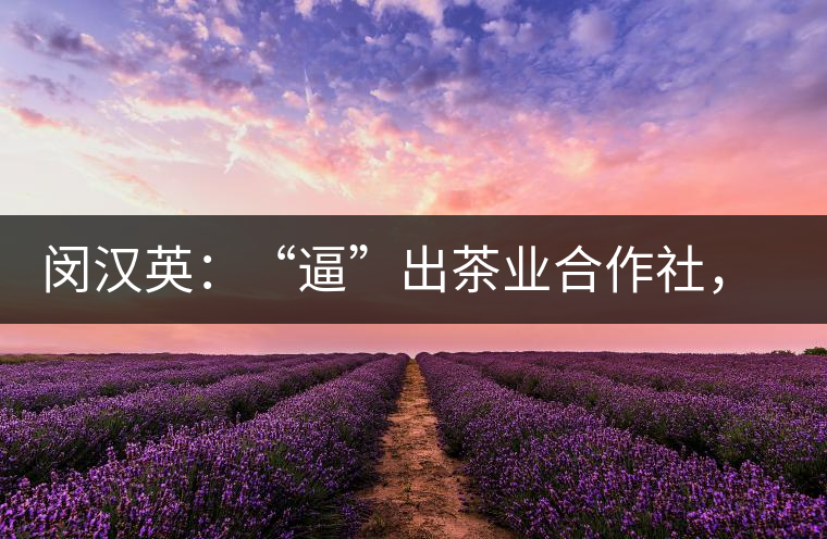 閔漢英：“逼”出茶業合作社，帶領村民走上致富路