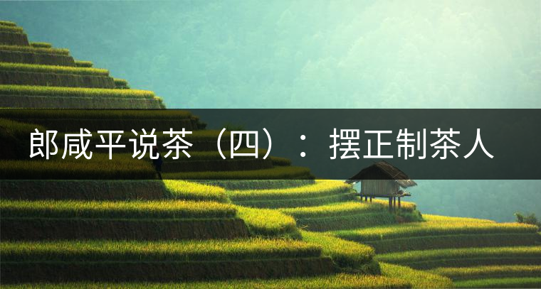 郎咸平說茶(四):擺正制茶人的地位 郎咸平說茶(四):擺正制茶人的地位