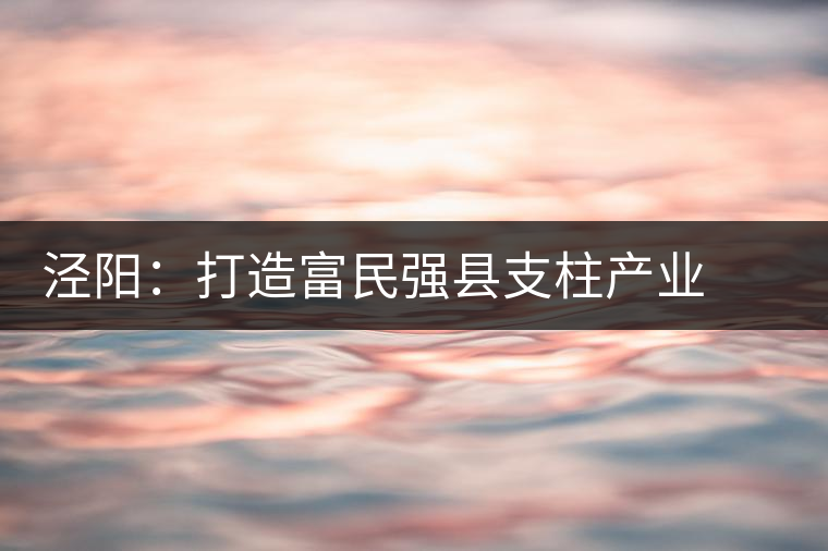 涇陽:打造富民強(qiáng)縣支柱產(chǎn)業(yè) ——訪陜西省涇陽縣副縣長謝保衛(wèi) 涇陽:打造富民強(qiáng)縣支柱產(chǎn)業(yè) ——訪陜西省涇陽縣副縣長謝保衛(wèi)