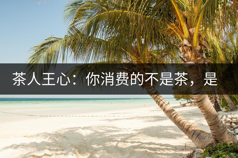 茶人王心：你消費的不是茶，是我