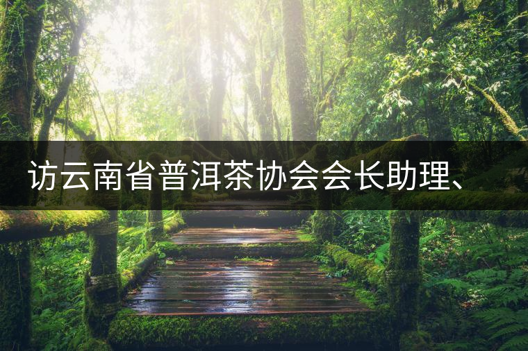 訪云南省普洱茶協(xié)會(huì)會(huì)長(zhǎng)助理、副秘書長(zhǎng)、茶界名人張明春